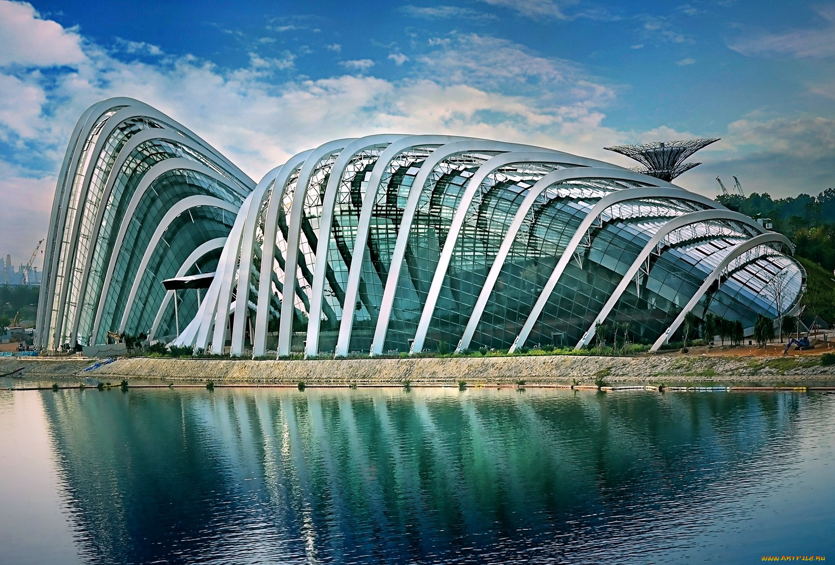 Сингапур оранжерея 'Flower Dome' архитектура